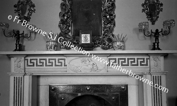 MOUNT CONGREVE  FIREPLACE IN LIBRARY